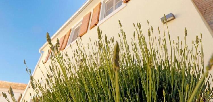 Studio Apartman Dado Apartment Bale Exterior photo