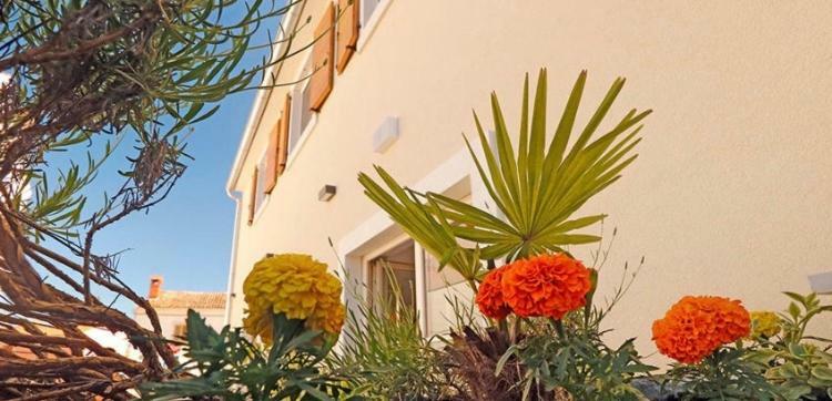Studio Apartman Dado Apartment Bale Exterior photo